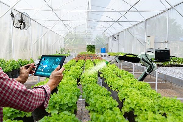 Digital Agriculture Extension Promoter